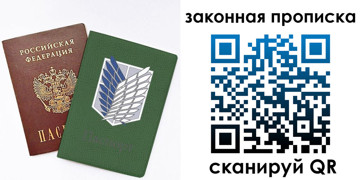 прописка в Ельне